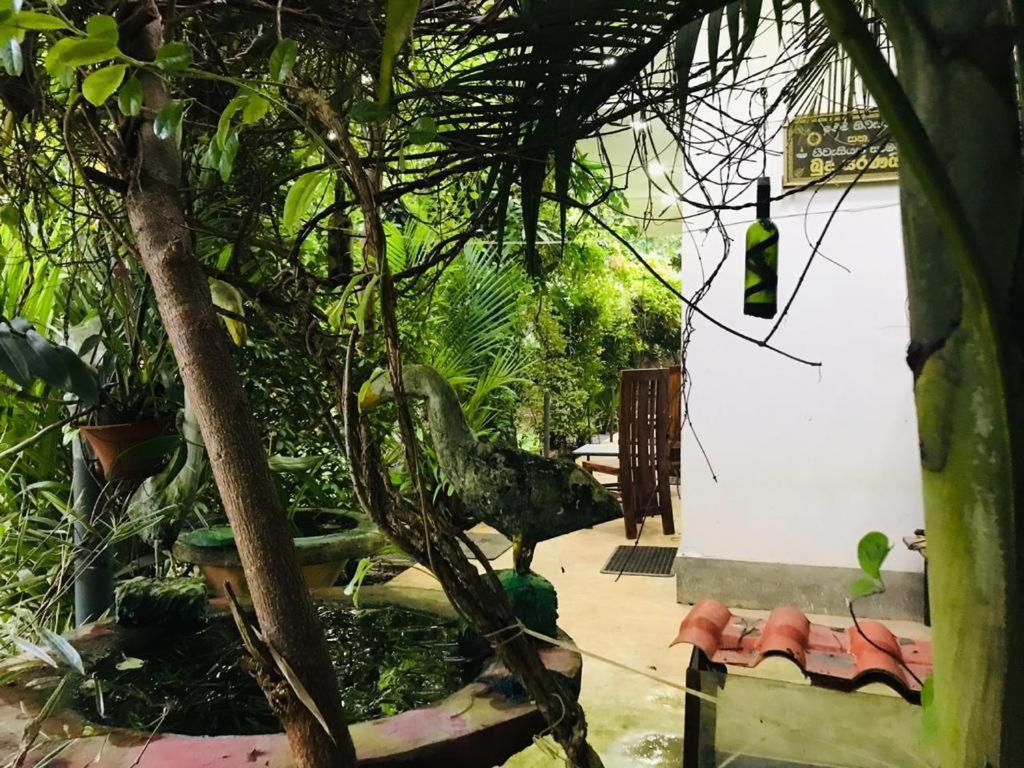 Green Jade Inn มิริสซา ภายนอก รูปภาพ