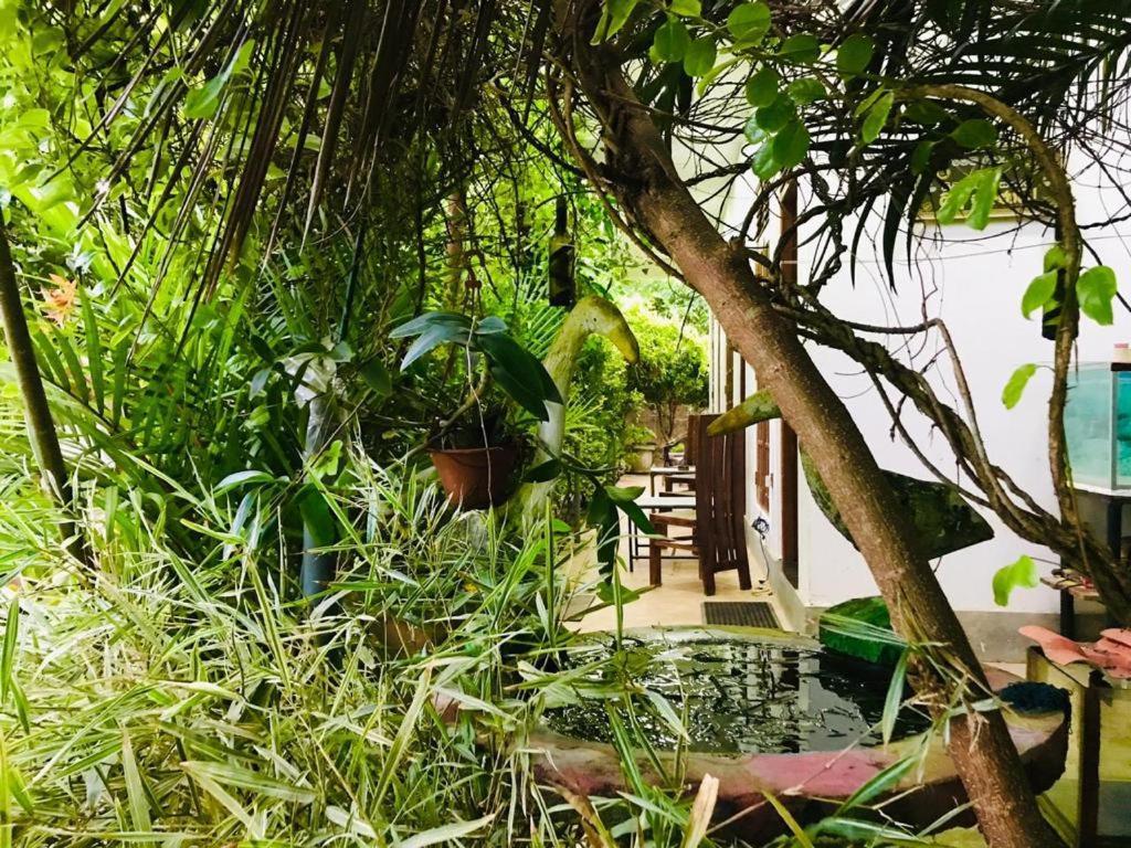 Green Jade Inn มิริสซา ภายนอก รูปภาพ