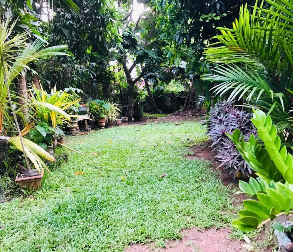 Green Jade Inn มิริสซา ภายนอก รูปภาพ